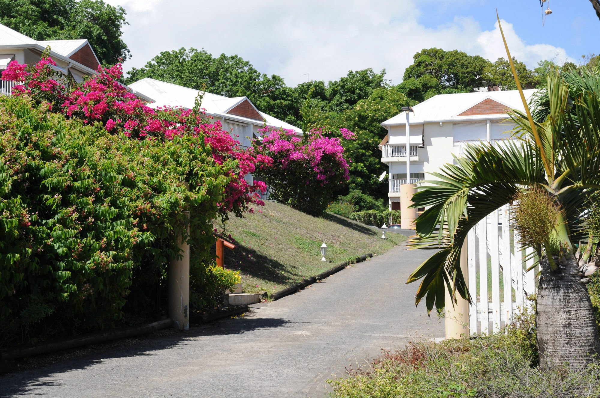 Residence Tropicale เลอ มูเล่ ภายนอก รูปภาพ